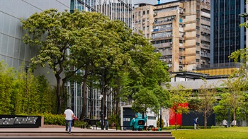 Tall trees fence off the distractions from the commercial buildings and enclose the central lawn.